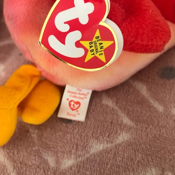 Rare 1996 Ty Beanie Struts Collector Bundle - Picture 2 of 9